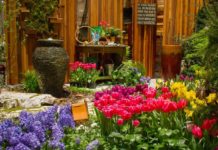 Chicago Flower and Garden Show at Navy Pier Chicago Flower and Garden Show at Navy Pier