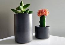 Alue Design – Handmade Concrete Products for the Home Alue Design - Oak Brook Artisan Market (concrete planters)