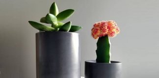 Alue Design – Handmade Concrete Products for the Home Alue Design - Oak Brook Artisan Market (concrete planters)